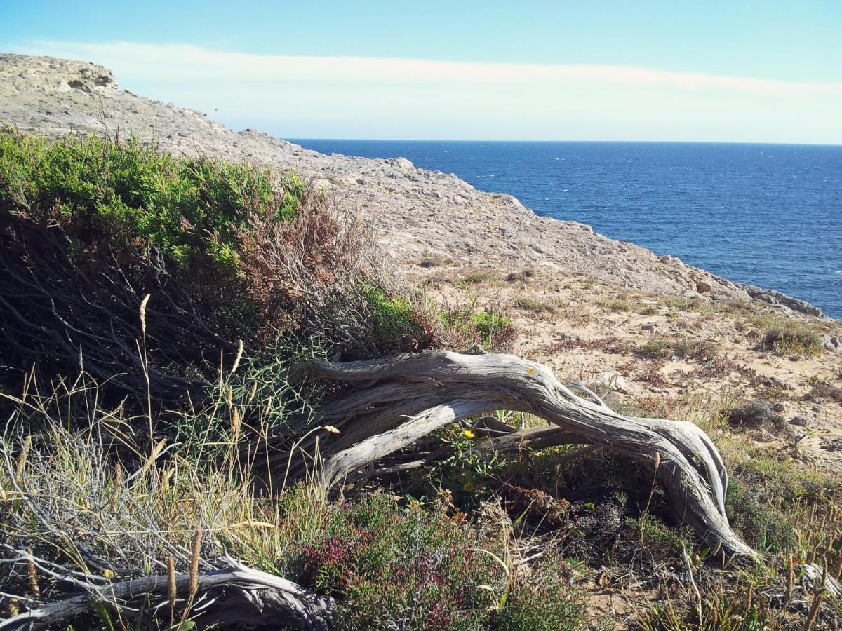 B&B Il Girasole SantʼAnna Arresi Εξωτερικό φωτογραφία