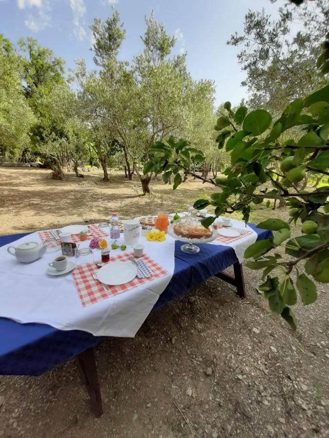 B&B Il Girasole SantʼAnna Arresi Εξωτερικό φωτογραφία