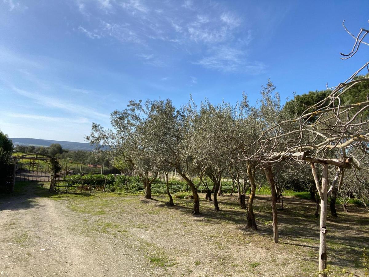 B&B Il Girasole SantʼAnna Arresi Εξωτερικό φωτογραφία
