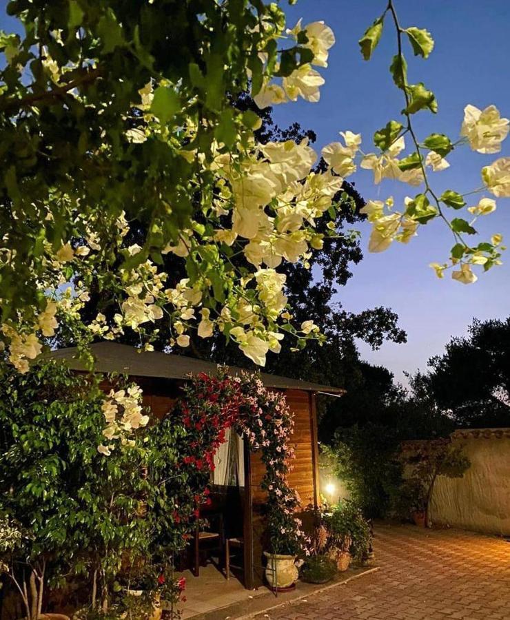 B&B Il Girasole SantʼAnna Arresi Εξωτερικό φωτογραφία