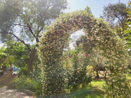 B&B Il Girasole SantʼAnna Arresi Εξωτερικό φωτογραφία
